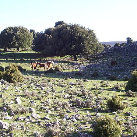 Agriturismo Didone Dorgali Eksteriør bilde